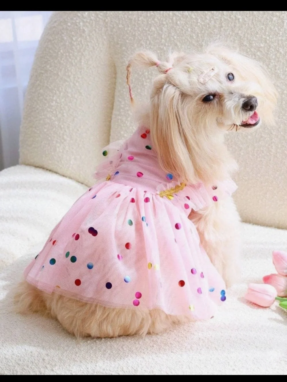 Pet  Pink Polka Dot Tulle Party Dress